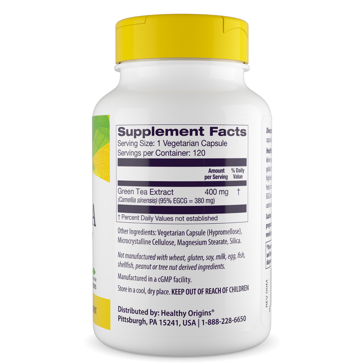 Green Tea Extract 95% EGCG