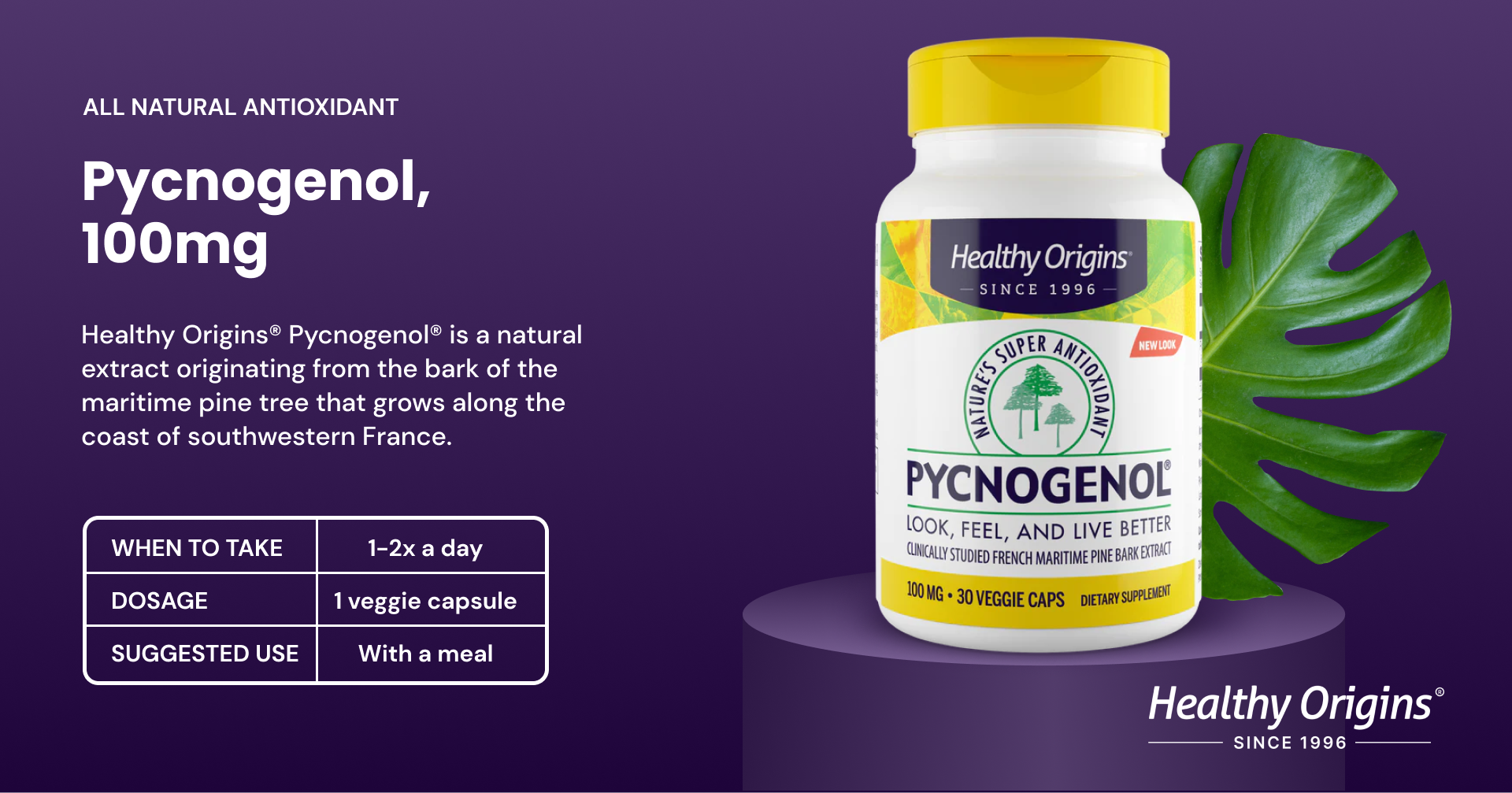pycnogenol vs glutathione Healthy Origins® Pycnogenol 100mg – Healthy Origins pycnogenol vs glutathione Healthy Origins® Pycnogenol 100mg – Healthy Origins